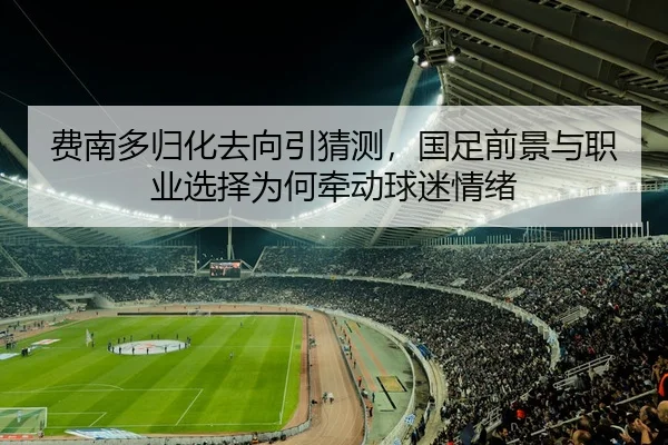 费南多归化去向引猜测，国足前景与职业选择为何牵动球迷情绪